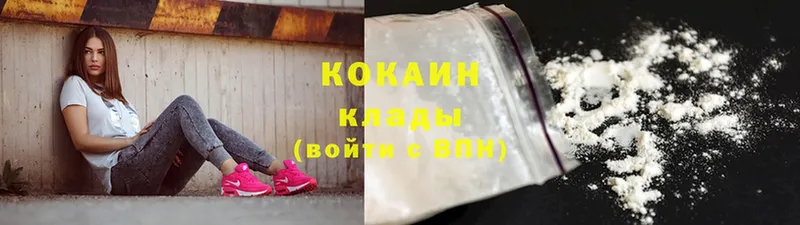 MEGA   магазин продажи наркотиков  Аргун  КОКАИН Fish Scale 